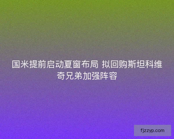 国米提前启动夏窗布局 拟回购斯坦科维奇兄弟加强阵容
