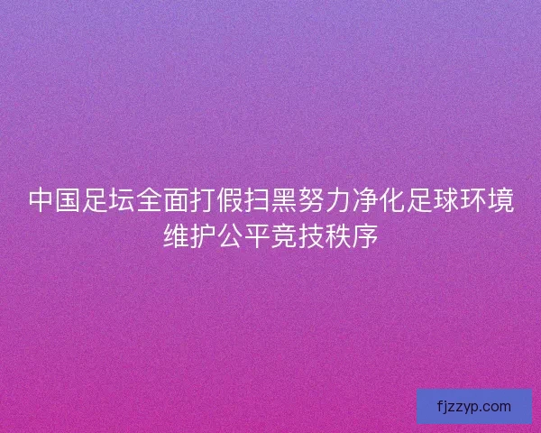中国足坛全面打假扫黑努力净化足球环境维护公平竞技秩序